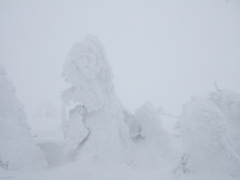 自然災害鑑定士に聞いてみた～大雪対策編～