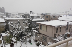 自然災害鑑定士に聞きました～大雪で屋根に穴が開いた、一体どうすればいいの？～